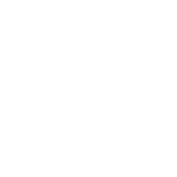 國(guó)網(wǎng)專(zhuān)題